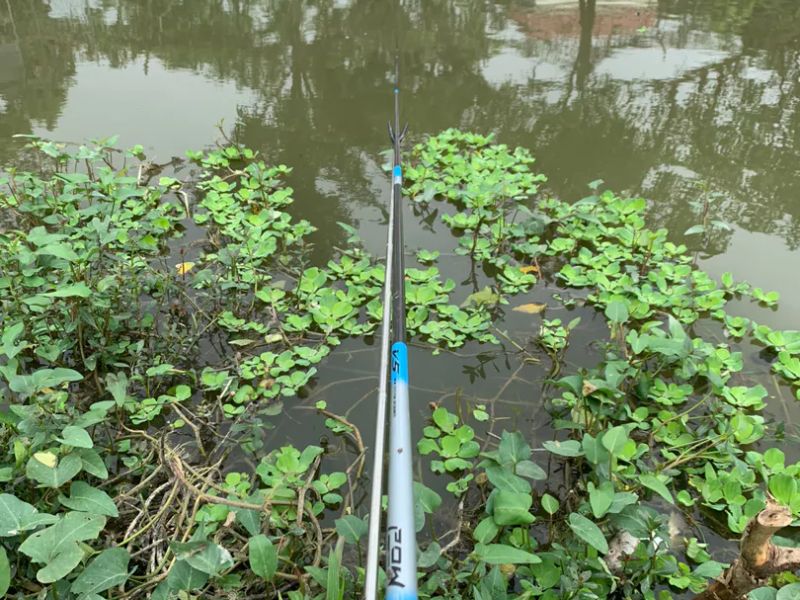 Các yếu tố cần thiết khi kinh doanh câu cá giải trí