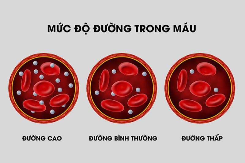 Định lượng glucose trong máu