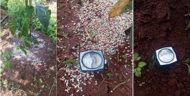 Tìm hiểu về đất chua, đất trung tính và đất kiềm là gì?