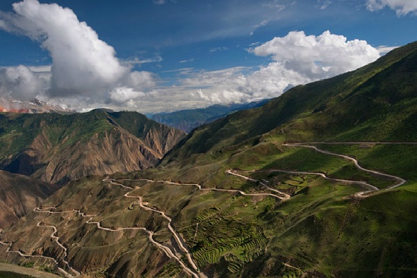 con đường trà Mã Cổ