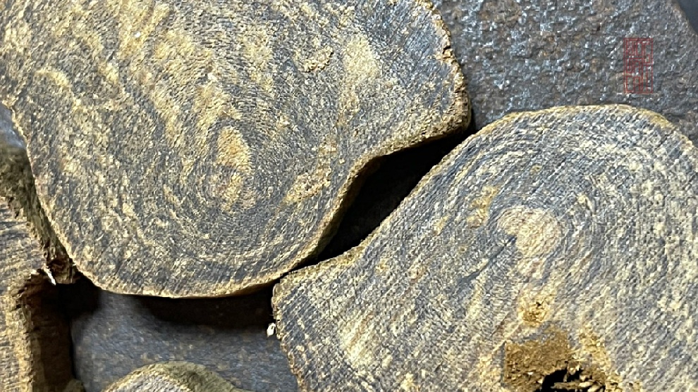 phôi trầm sớ quầng tự nhiên