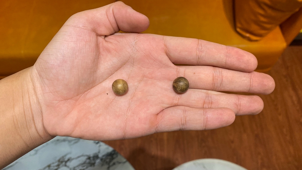 hạt trầm nổi và hạt trầm cận chìm