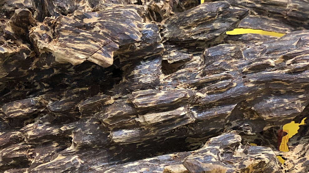 phôi trầm bông chìm hiếm