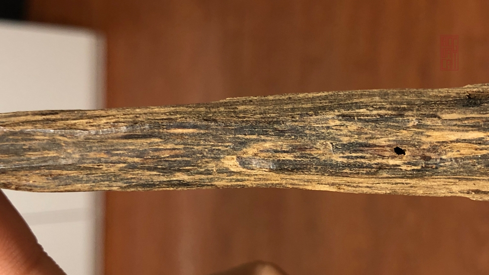 VỤN TRẦM KIẾN TỰ NHIÊN