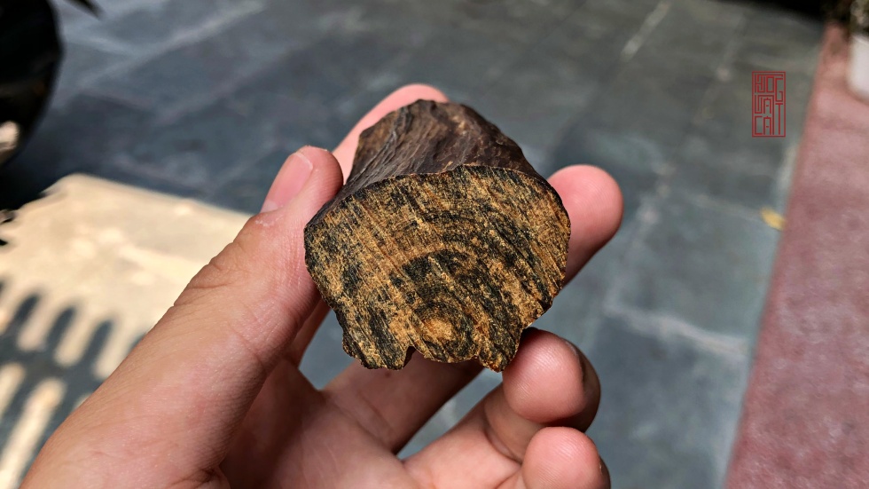 PHÔI TRẦM CHÌM DẦU ĐỎ HIẾM