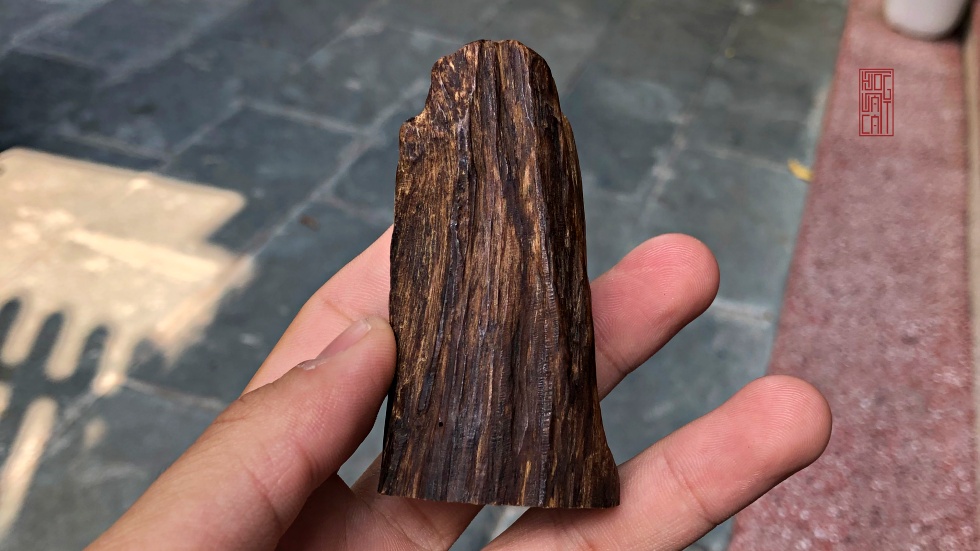 PHÔI TRẦM CHÌM DẦU ĐỎ HIẾM