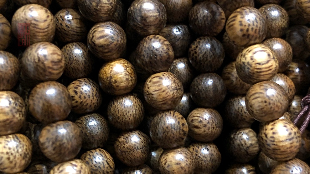 trầm vườn