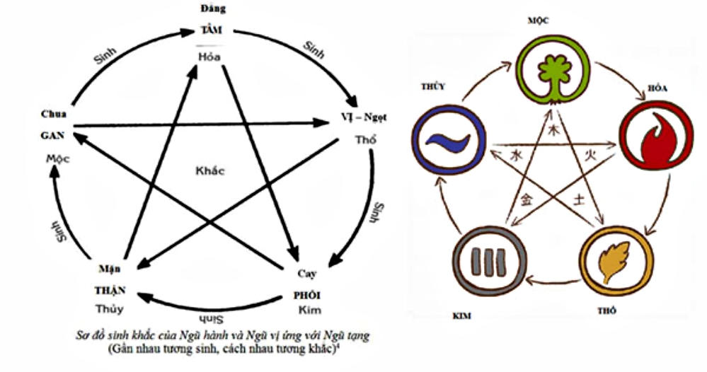 bảng tuần hoàn ngũ hành