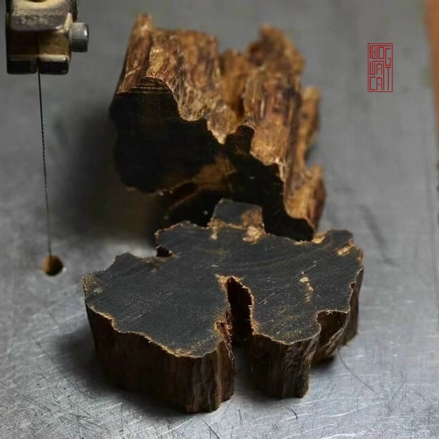 kỳ nam chìm nước