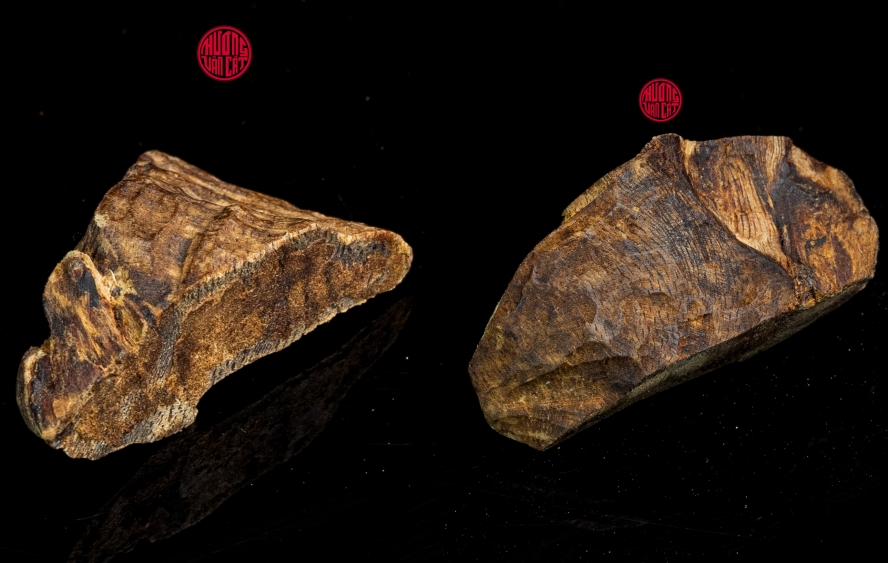 kỳ nam chìm nước