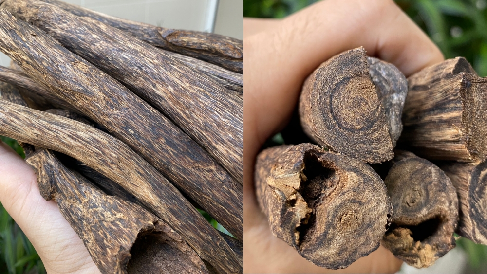 nguyên liệu trầm chìm hiếm