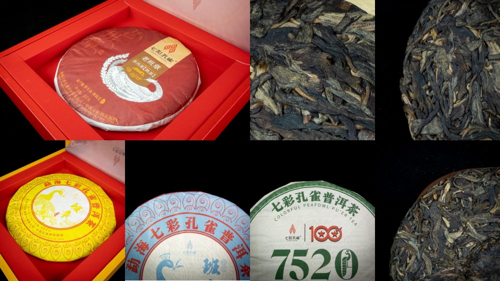 bánh trà phổ nhĩ thương hiệu lớn