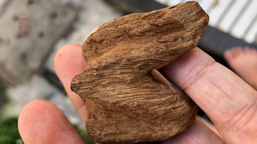 phôi trầm rục cũ