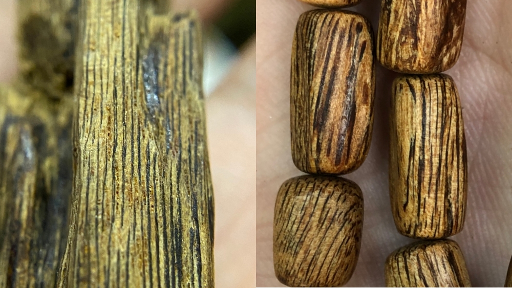 sớ dầu Kỳ Nam và sớ dầu trầm bông