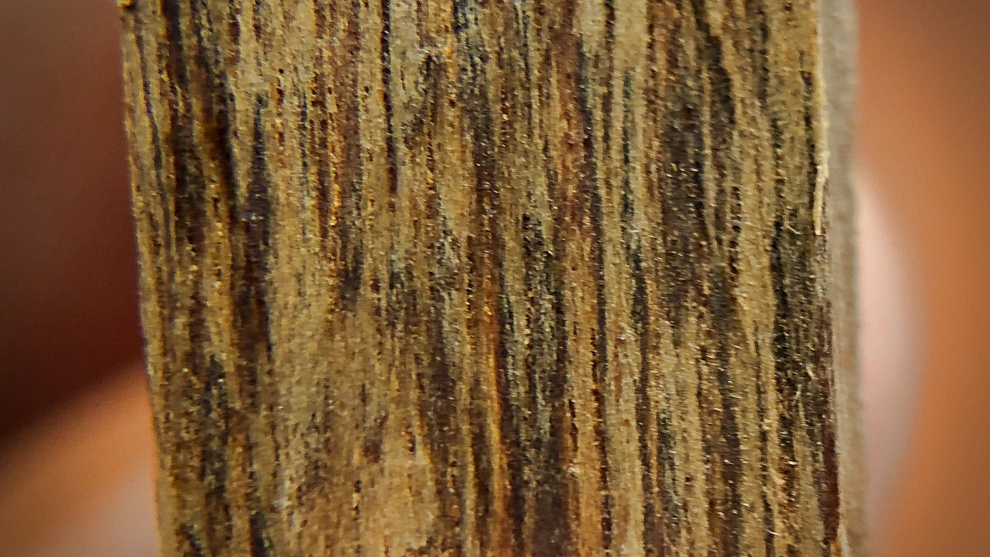 CẬN CẢNH VÂN DẦU TRẦM THƯA