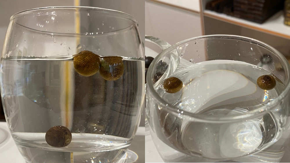 hạt trầm nổi và chìm