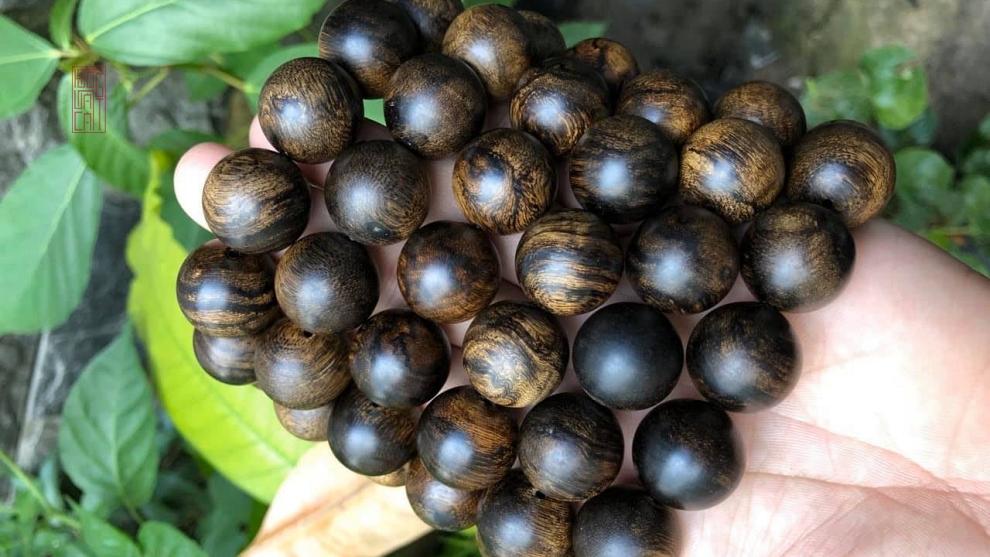 trầm công nghệ cao