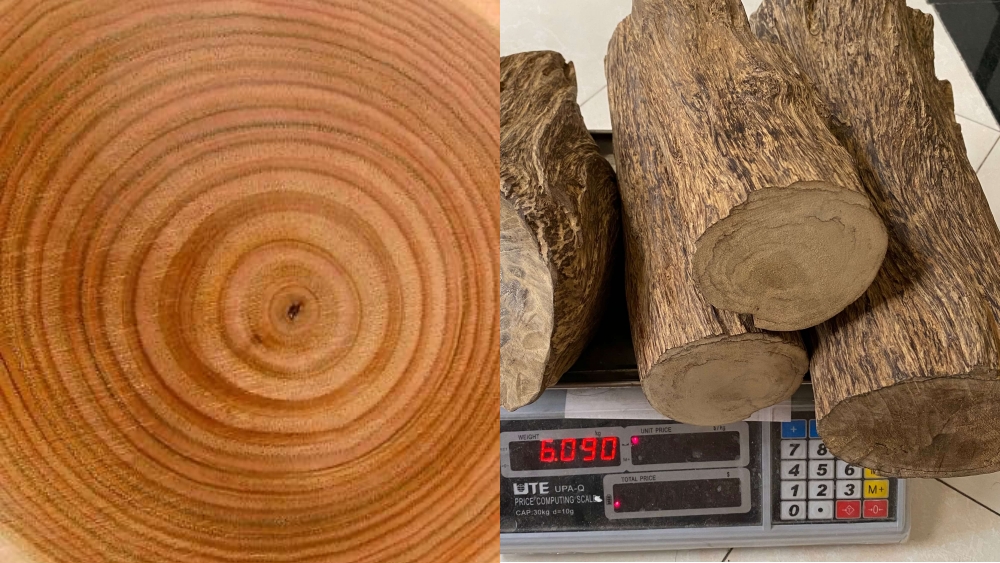 gỗ trầm tự nhiên