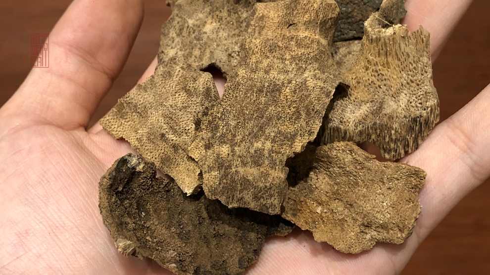 VỤN TRẦM KIẾN TỰ NHIÊN