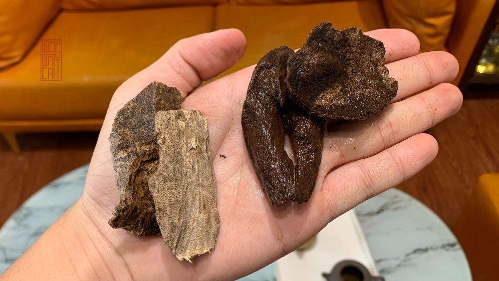 vụn trầm kiến và vụn trầm rục