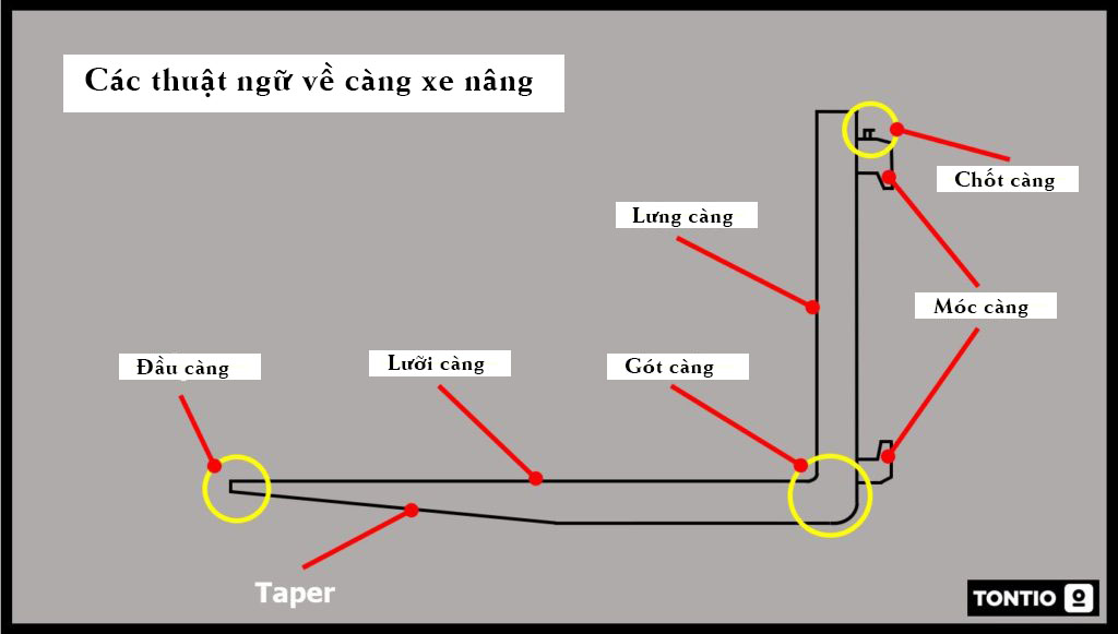 Các thuật ngữ về càng xe nâng hàng