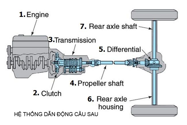 cấu tạo hệ dẫn động cầu sau