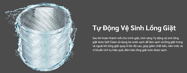 Máy giặt lồng đứng Hitachi Inverter 12 kg LTL 12MVJWT GG, model mới nhất giá tốt, Chương trình giặt