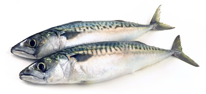 Tủ lạnh Hitachi 4 cánh R-WB700VGV2 model 645 lít 2023