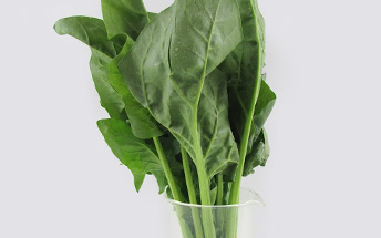 Tủ lạnh Hitachi 6 cánh 540 lít R-HW540RV XK model 2023 NEW