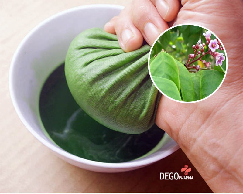 Đắp lá khế để chữa trị vảy nến