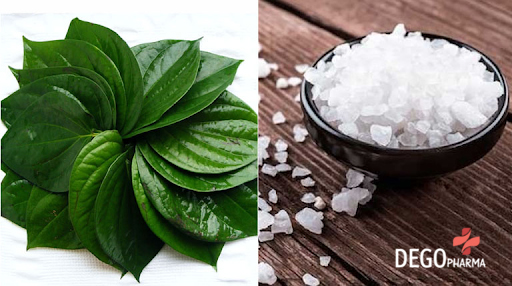 Cách trị nấm da đầu bằng lá trầu không đơn giản