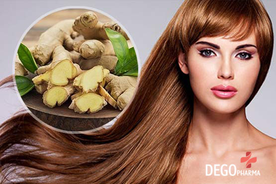 trị rụng tóc bằng gừng