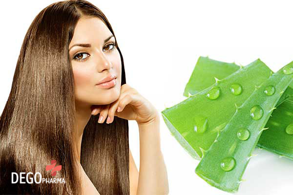 trị rụng tóc bằng nha đam