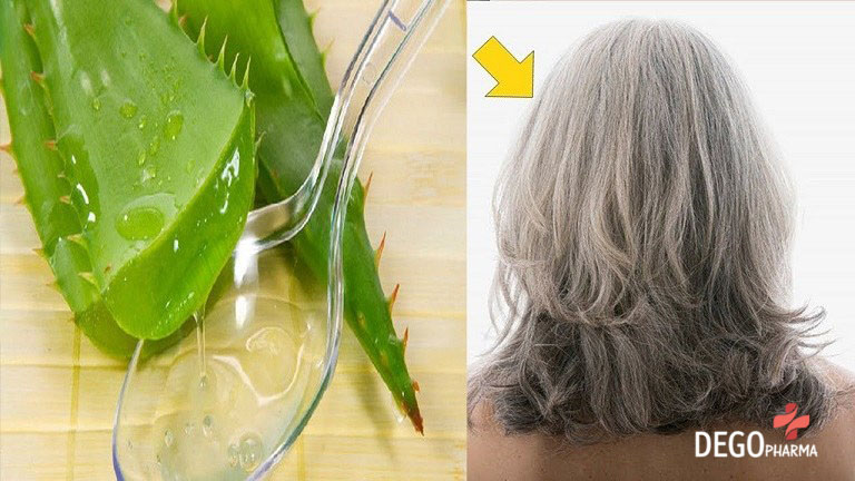 trị rụng tóc bằng nha đam