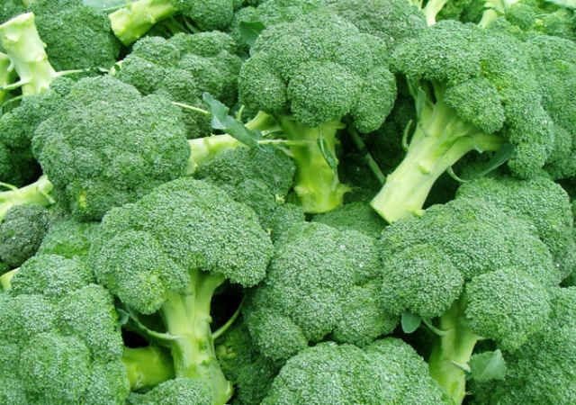 Trị rụng tóc bằng bông cải xanh