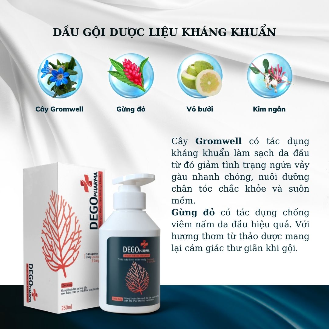 Dầu gội trị rụng tóc của DEGO PHARMA 