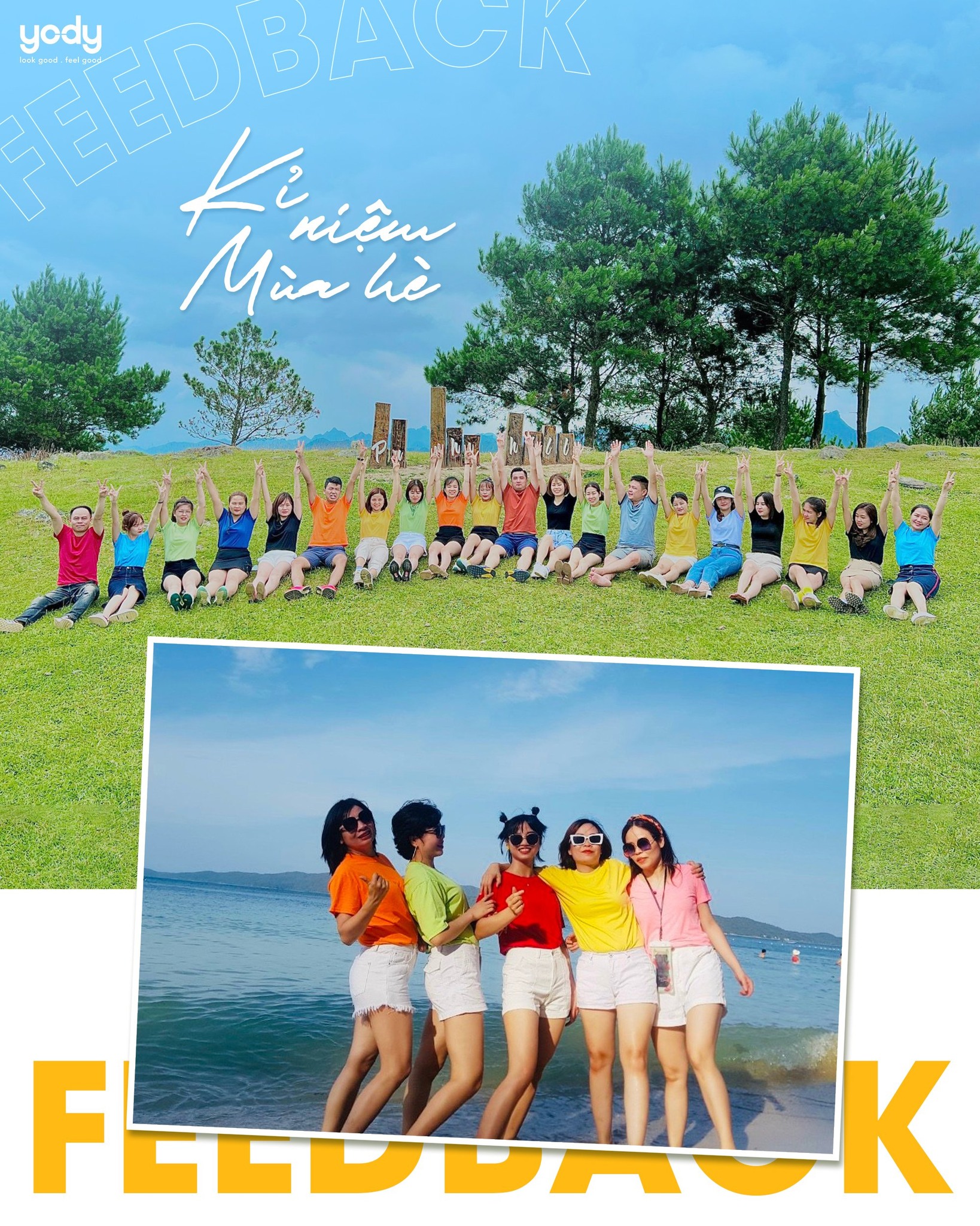 Áo T-Shirt Nữ Cotton USA Phiên Bản Premium