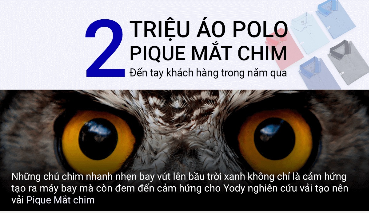 polo pique mắt chim