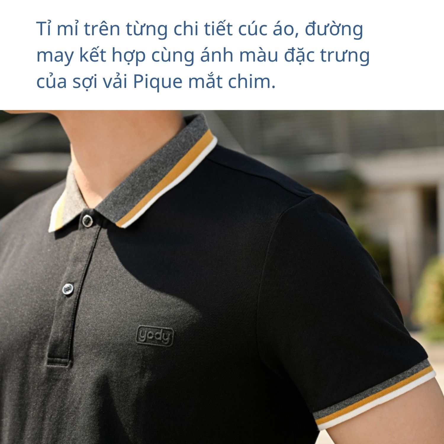 Áo Polo Nam Pique Mắt Chim Phối Kẻ