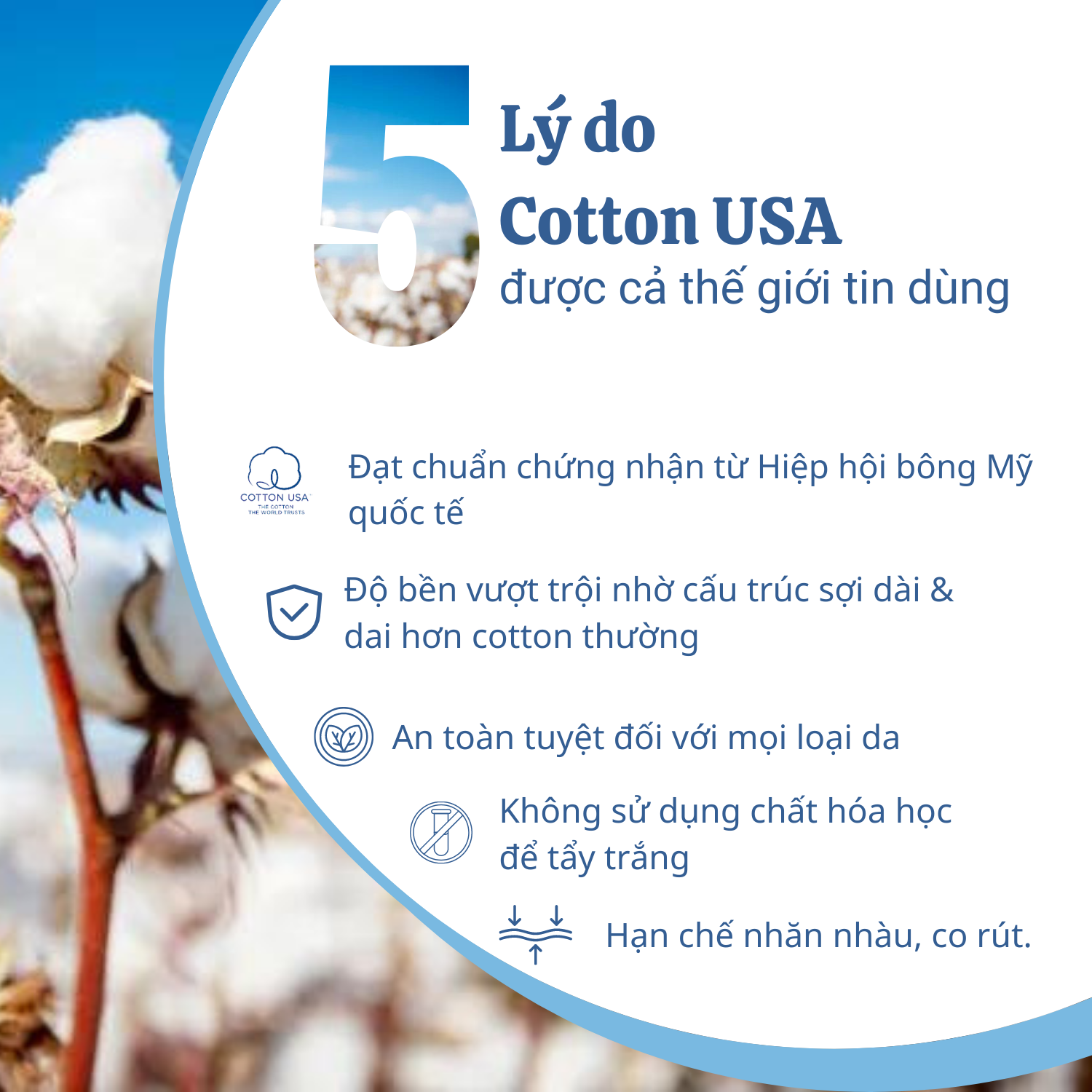 Cotton usa