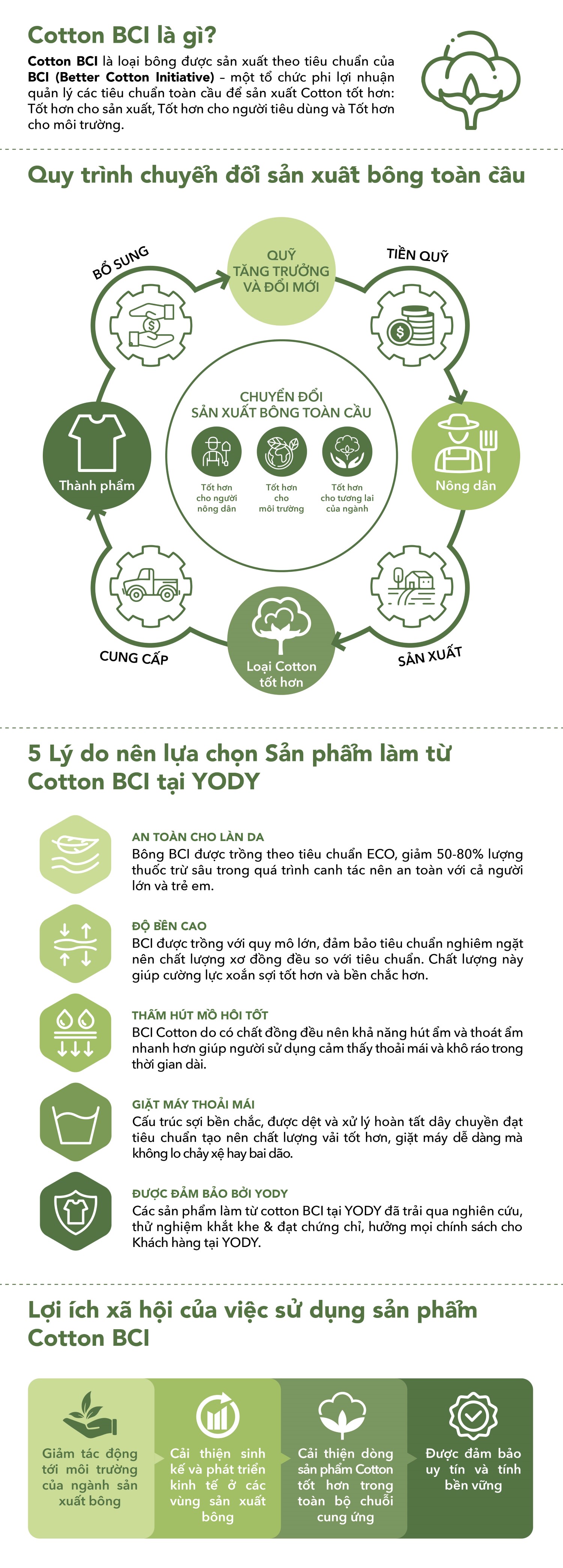 Áo Phông Nữ Cotton Dáng Suông BCI In Gấu