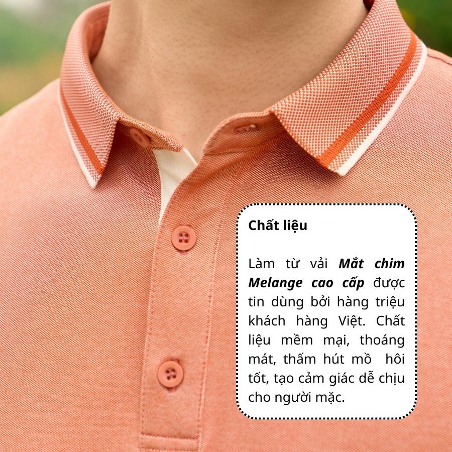 Áo Polo Nam Pique Mắt Chim Melange Phối Nẹp