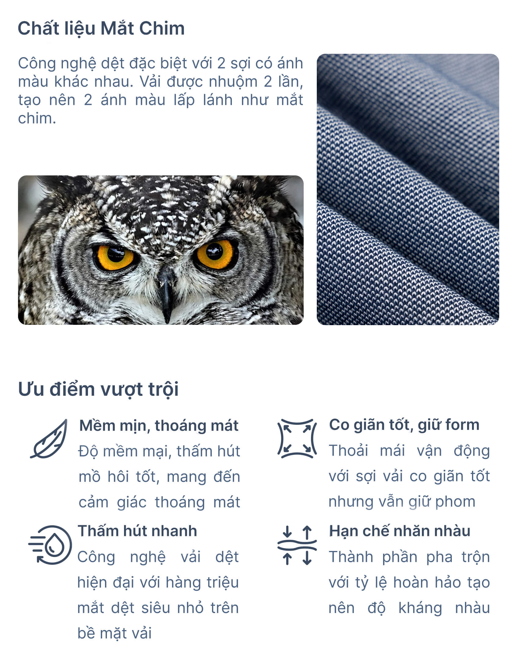 Áo Polo Nữ Mắt Chim Phối Màu In Kẻ