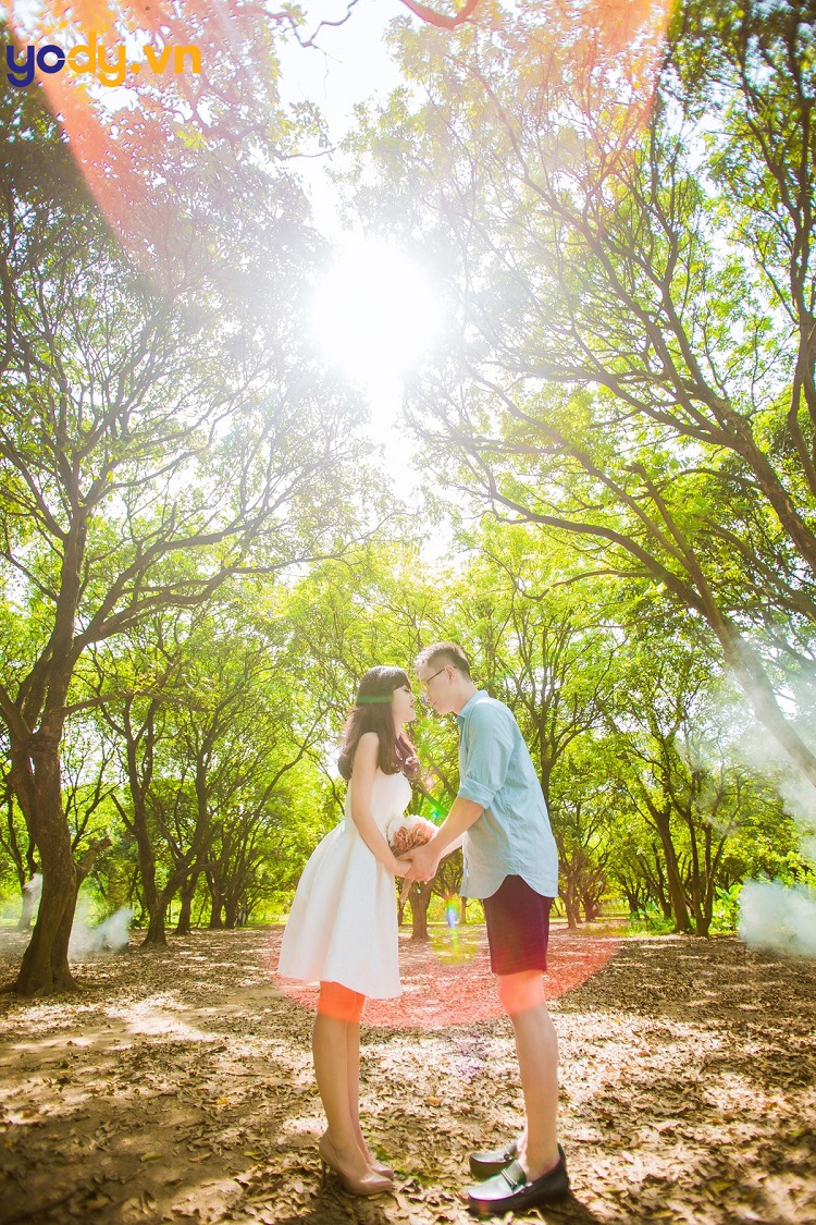 Vườn nhãn Gia Lâm