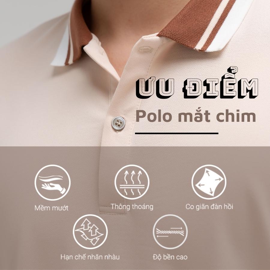 polo mắt chim