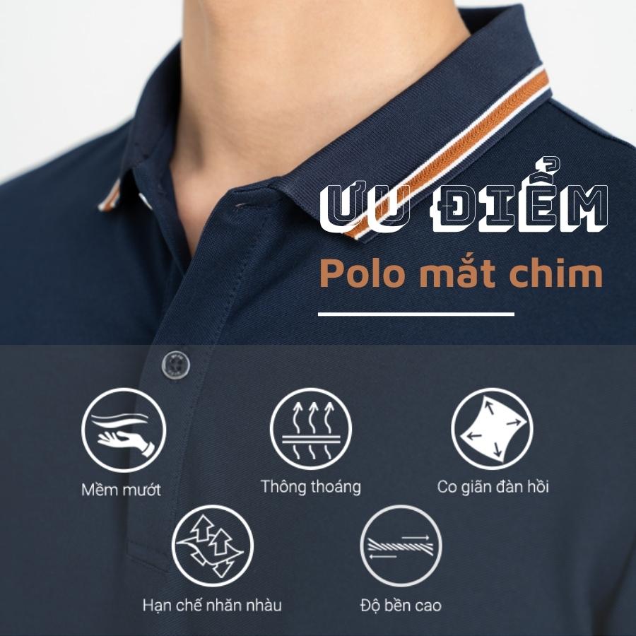 Áo Polo Nam Pique Mắt Chim Phối Tay Cổ Kẻ