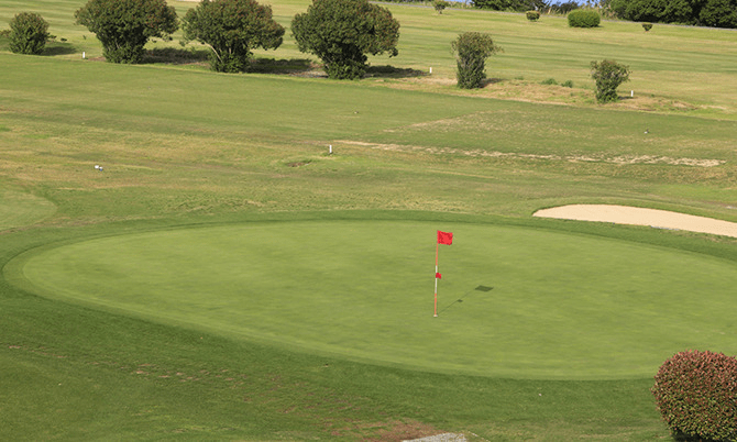 Brazil cường quốc bóng đá! Cơn sốt chơi golf