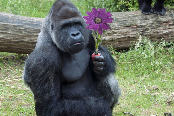 Các thuật ngữ thú vị liên quan đến người chơi Golf