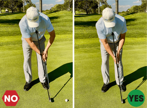 cân bằng hoàn hảo