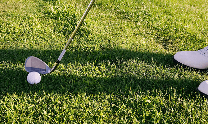 Chiến lược green